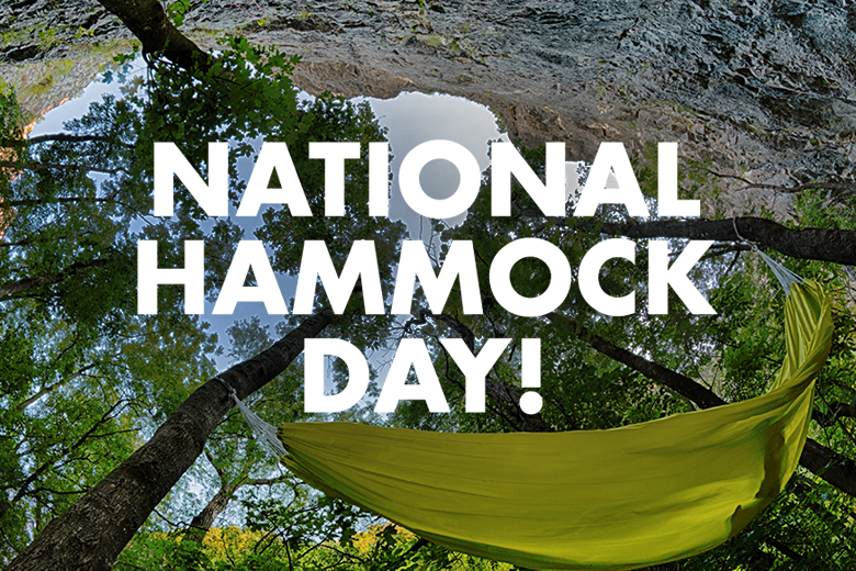 Hammock day hotsell